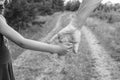 Old photo of a stylish hand of a parent and child in nature on a park background