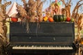 Old piano decorated with pumpkins at warm autumn day. Royalty Free Stock Photo
