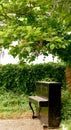 Piano no longer plays,Old piano, piano in grounds of bushes and trees, an old and lonely piano. Royalty Free Stock Photo