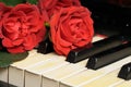 Old Piano With Red Roses
