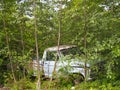Old pick-up truck abandoned rusting away in forest