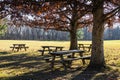 Old Picnic Tables In A Park Under An Oak Tree In The Late Fall