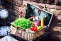 Old picninc basket with fresh vegetables