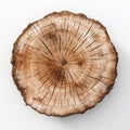 Old piece of tree stump isolated on white background Royalty Free Stock Photo