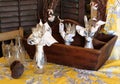 Old pieces of silverware wrapped in napkins with prices listed, seen in Lee`s Antique Center, New Milford, CT, 2018