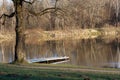 an old pier with a large oak tree on the lake at sunset. Royalty Free Stock Photo