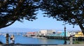 7/10/17: Woman with broad rimmed hat sits and enjoys the view of the historic Old Fisherman`s Wharf, Monterey.