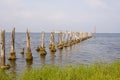 Old pier on the shore of the Gulf of Mexico