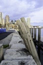 Old piling Boston Harborwalk