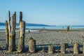 Old Pilings on Stony Beach Royalty Free Stock Photo