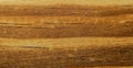 Old pine tree wood texture, macro shot. Wooden texture. Wooden texture with good details. Royalty Free Stock Photo