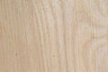 Wood backround texture. Royalty Free Stock Photo