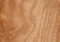 Wood backround texture. Royalty Free Stock Photo