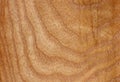 Wood backround texture. Royalty Free Stock Photo