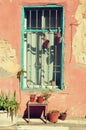 Old pink painted house with cracked walls, blue wooden window and green plants. Pop art concept, retro style