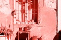Old Pink Painted House With Cracked Walls, Wooden Window And Plants In Trendy Coral Color. Pop Art Concept, Retro Style