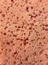 old pink porous sponge texture Royalty Free Stock Photo