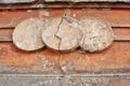 Old pink wall surface with white shabby cracked architectural detail close up, grunge horizontal background Royalty Free Stock Photo