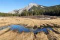 Chuck Wagon Cattle Pioneer Trail Alberta Prairies Scenic Landscape Canadian Rockies Royalty Free Stock Photo