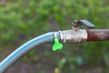 An old pipe with a black handle on a tap and with a green hose attached against a background of green grass in a garden plot for Royalty Free Stock Photo