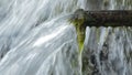 Old pipe expelling water in a water spring