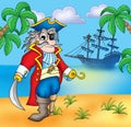 Old pirate on beach Royalty Free Stock Photo
