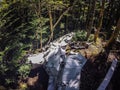 Old plane crash slowly dissolves in the forest