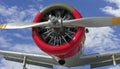 Old plane details Royalty Free Stock Photo