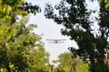 Old plane flying near the trees Royalty Free Stock Photo