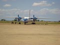 Old plane with goats resting in shade under wings, Africa