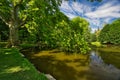 Old plane tree in park and small lake in Stupava near manor house Royalty Free Stock Photo