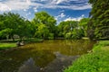 Old plane tree in park and small lake in Stupava near manor house Royalty Free Stock Photo