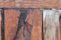 Old plank and rotten wood surface. Royalty Free Stock Photo