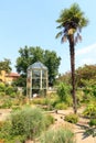 Old plant `Goethe palm` in greenhouse at botanical garden Orto botanico in Padua, Italy Royalty Free Stock Photo