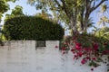 Springtime garden wall in Santa Barbara Royalty Free Stock Photo