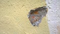 Old plastered brick wall with hole and damage. Plaster exfoliation. Yellow concrete grunge texture. Background. Crisis concept. Co Royalty Free Stock Photo