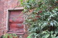 Vintage background with the texture of an old plastered damaged brick wall with a window and green vegetation Royalty Free Stock Photo