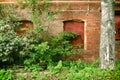 Vintage background with the texture of an old plastered damaged brick wall with a window and green vegetation Royalty Free Stock Photo