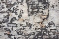 Old plastered wall in close-up. Royalty Free Stock Photo