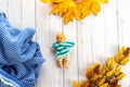 Old plastic mini baby doll toy wearing a striped sweater. Toy is antique from the 1980s. Flat lay for autumn with blue blanket and Royalty Free Stock Photo