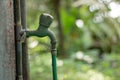 Old green plastic water tap Royalty Free Stock Photo