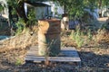 Old plow in tuscan country in a sunny afternoon Royalty Free Stock Photo