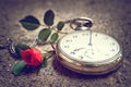 Fathers Day gift. Pocket watch and red rose Royalty Free Stock Photo