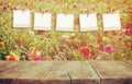 Old polaroid photo frames hanging on a rope with vintage wooden board table in front of summer flowers field bloom landscape Royalty Free Stock Photo