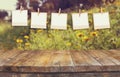 Old polaroid photo frames hnaging on a rope with vintage wooden board table in front of summer flowers field bloom landscape Royalty Free Stock Photo