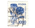 Old polish stamp with flower