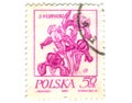 Old polish stamp with orchid