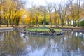 Old pond with ducks in autumn park Royalty Free Stock Photo