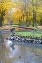 Old pond with ducks floating on it in the autumn park Royalty Free Stock Photo