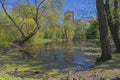 Old pond in early May. Royalty Free Stock Photo